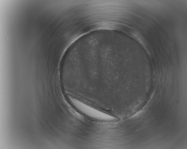 X0000063480779200602031924