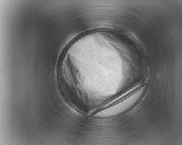 X0000063480780200602031924