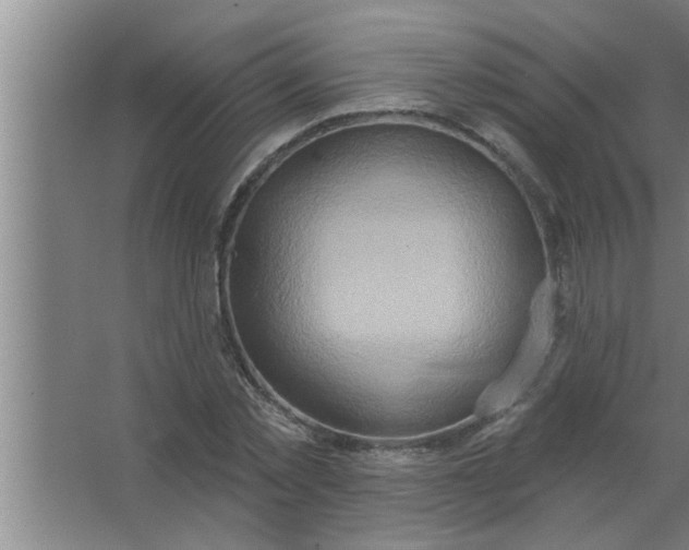 X0000063480781200602031924