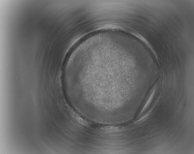 X0000063480783200602031924