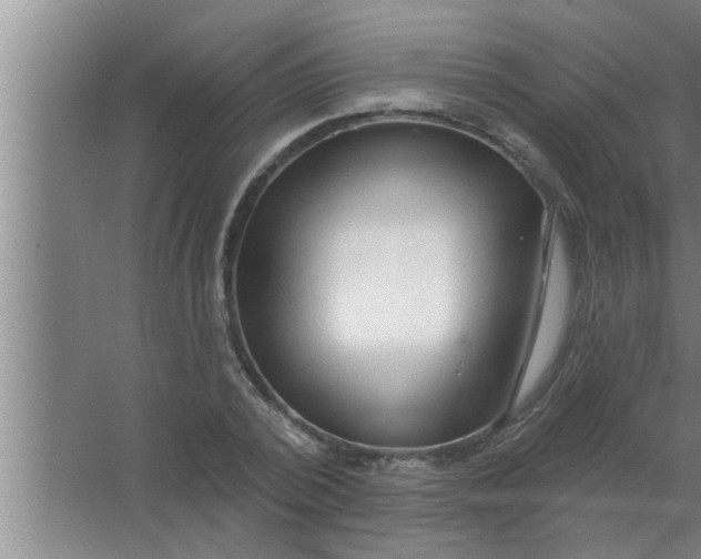 X0000063480784200602031924