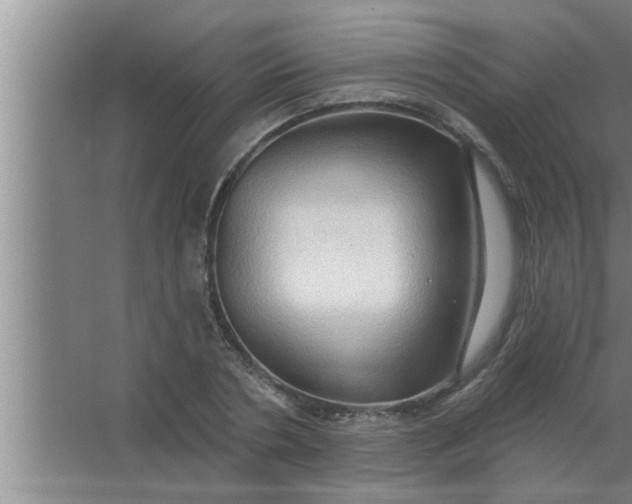 X0000063480786200602031924