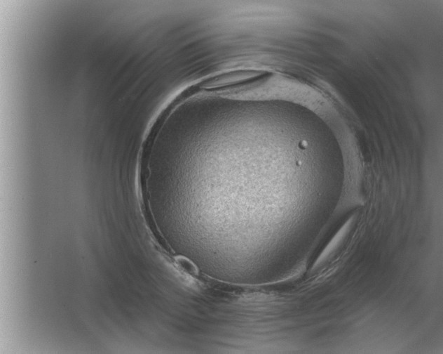 X0000063480788200602031924