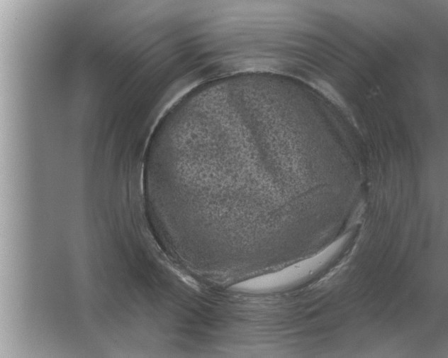 X0000063480790200602031924