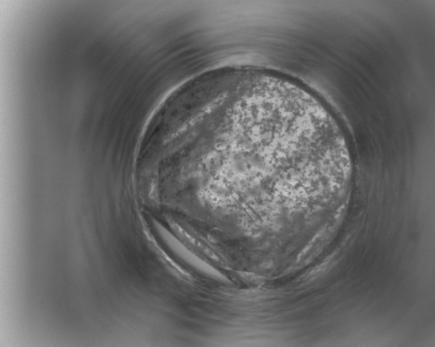 X0000063480791200602031924