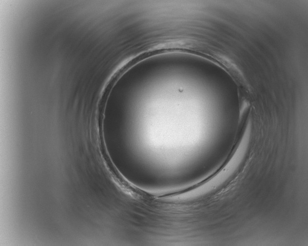 X0000063480792200602031924