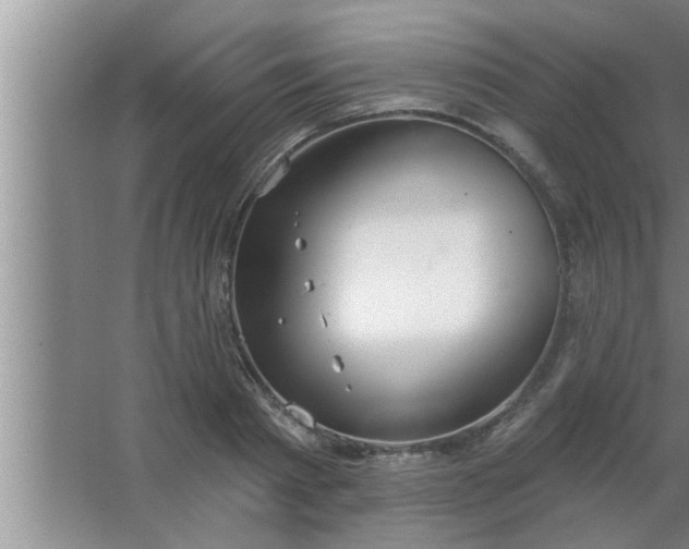 X0000063480793200602031924