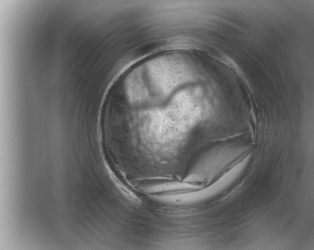 X0000063480795200602031924