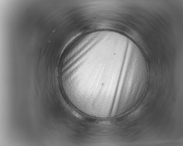 X0000063480798200602031924