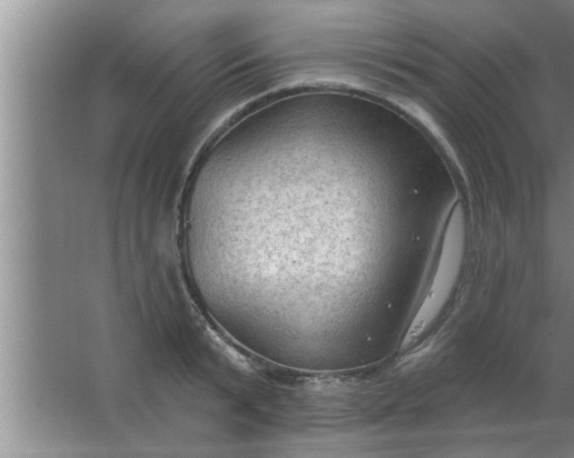 X0000063480799200602031924