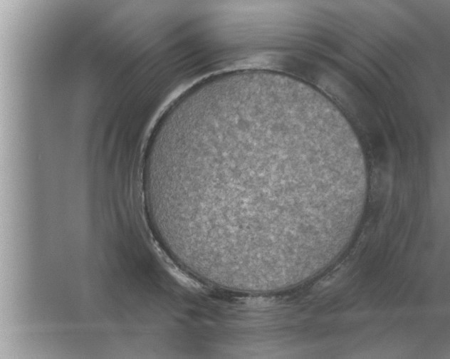 X0000063480800200602031924