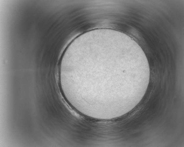 X0000063480804200602031924