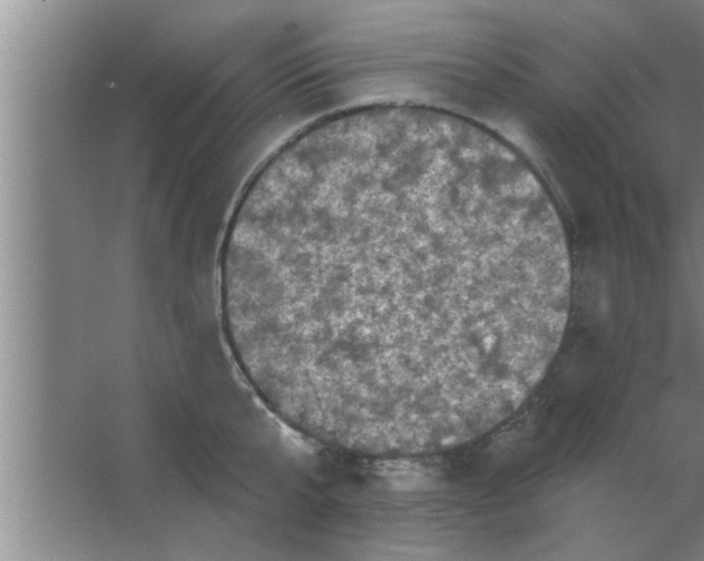 X0000063480807200602031924