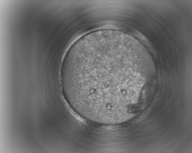 X0000063480808200602031924