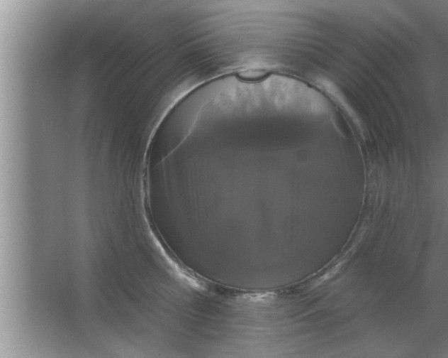 X0000063480810200602031924