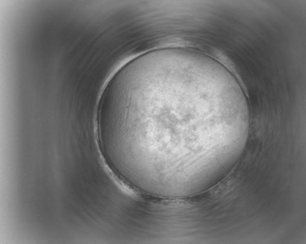 X0000063480811200602031924