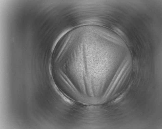 X0000063480812200602031924