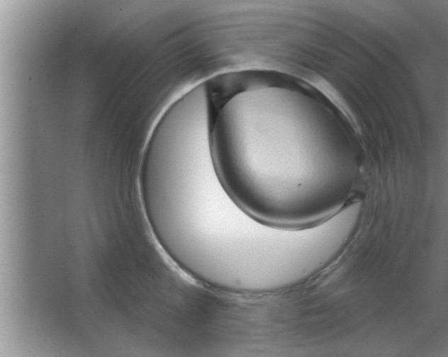 X0000063480813200602031924