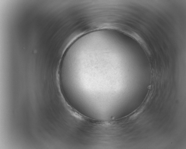 X0000063480814200602031924