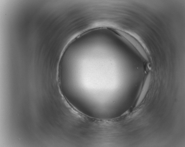 X0000063480815200602031924