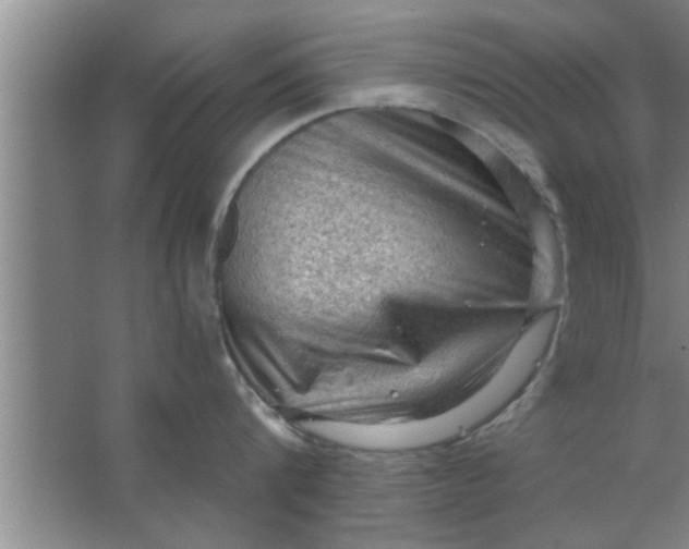 X0000063480816200602031924