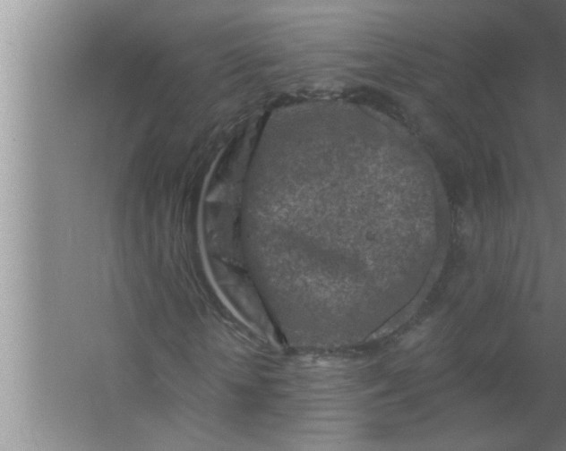 X0000063480818200602031923