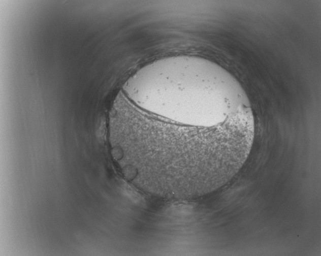 X0000063480820200602031923