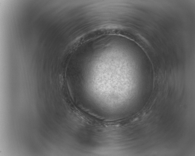 X0000063480821200602031923