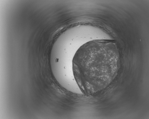 X0000063480824200602031923