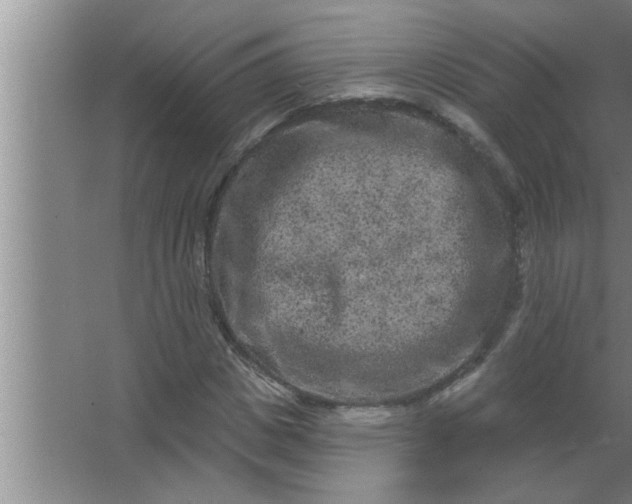 X0000063480825200602031923