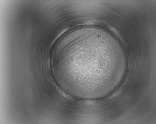 X0000063480827200602031923