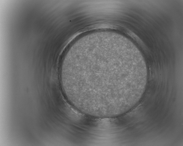 X0000063480828200602031923