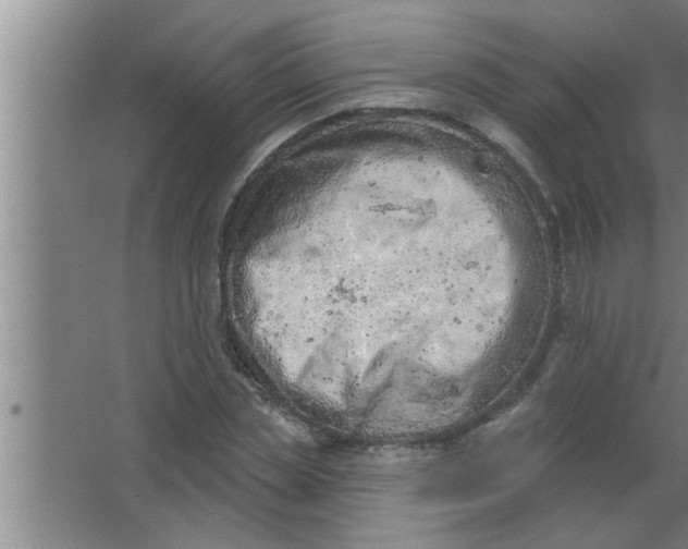 X0000063480829200602031923