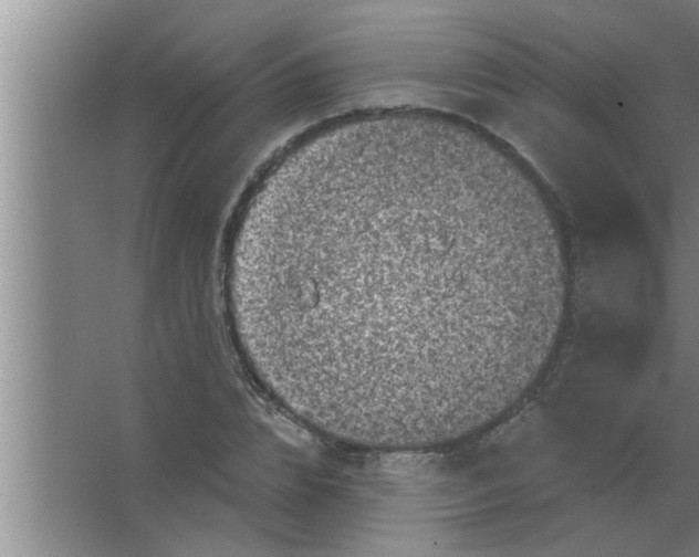 X0000063480832200602031923