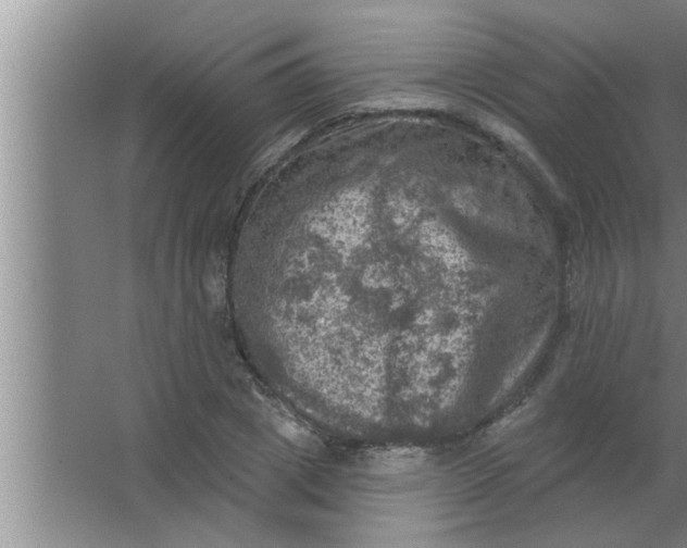 X0000063480833200602031923