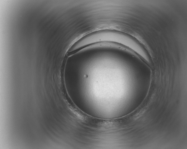 X0000063480834200602031923