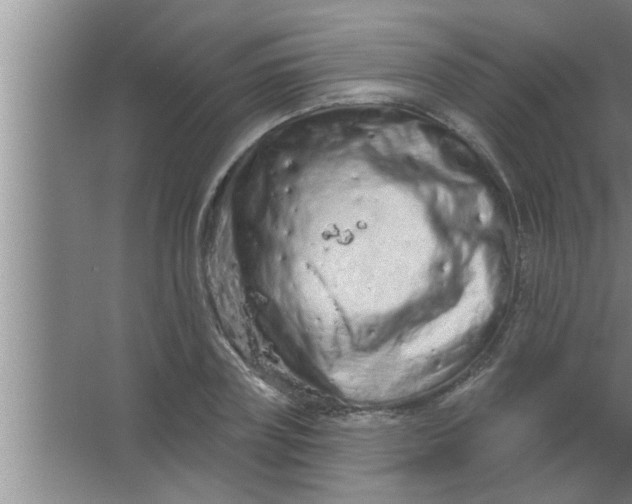 X0000063480835200602031923