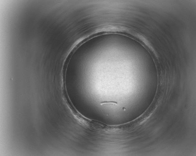 X0000063480837200602031923