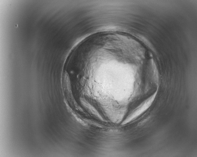 X0000063480839200602031923