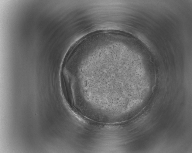 X0000063480840200602031923