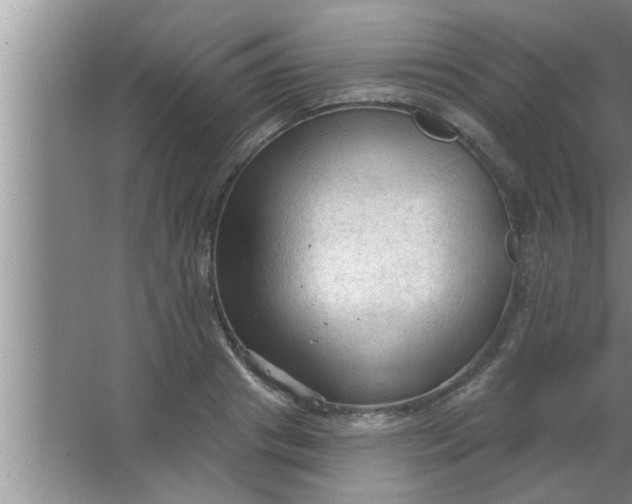 X0000063480841200602031923