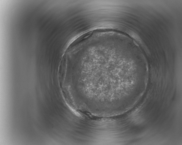 X0000063480842200602031923