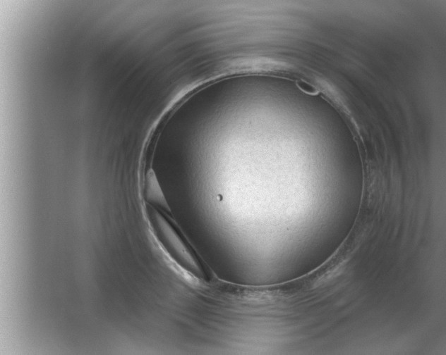 X0000063480843200602031923