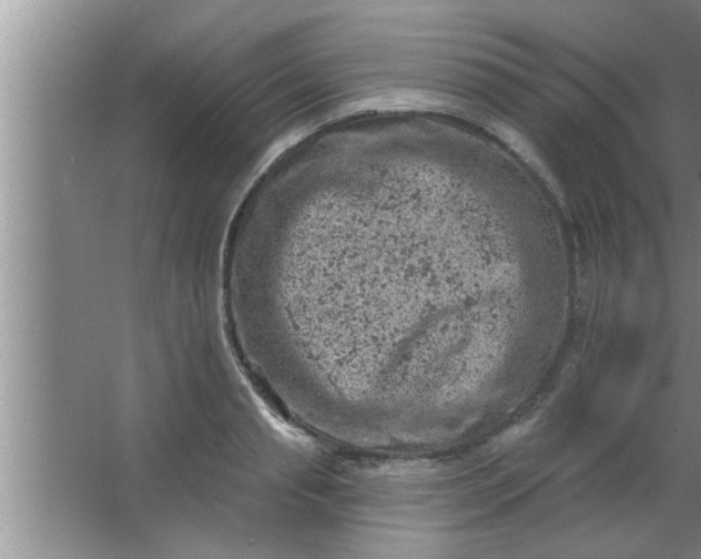 X0000063480845200602031923