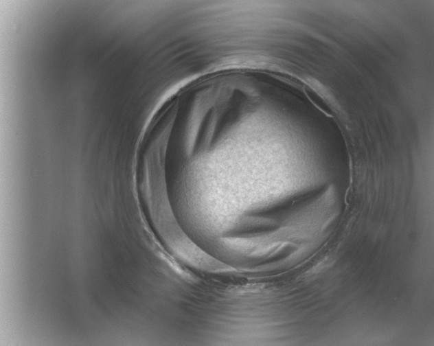 X0000063480846200602031923