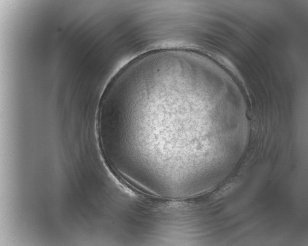 X0000063480847200602031924