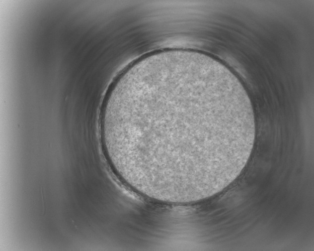 X0000063480848200602031924