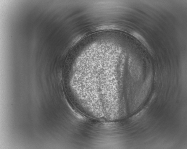 X0000063480849200602031924