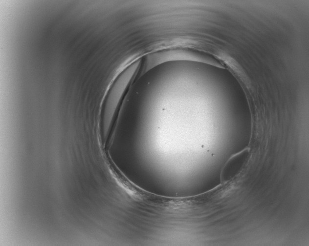 X0000063480850200602031924