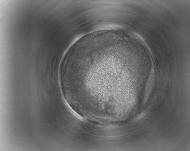 X0000063480851200602031924